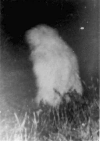 Goatman oder das Lake Worth Monster