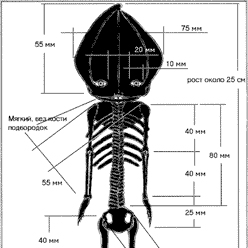 unheimlich der deutsche Mystery Podcast - Alien Baby Alyoshenka 02